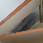 Inadequate Air Movement In Wardrobes Can Lead To Mould Property